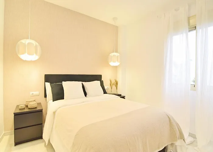 Maclea Malaga