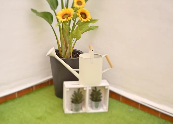 Maclea Apartament *